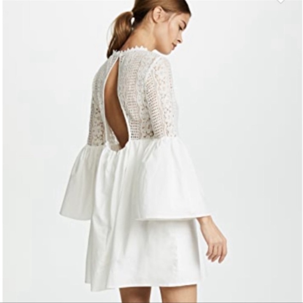 Endless Rose Lace dress